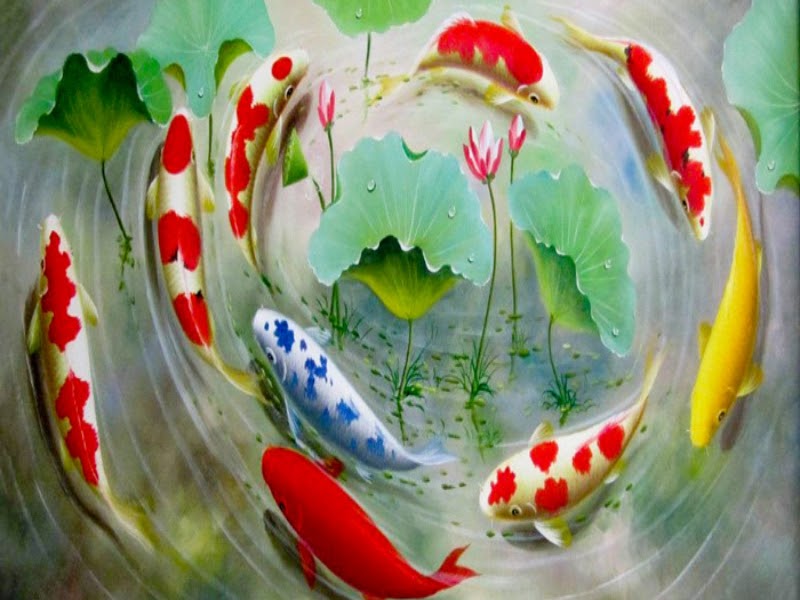 tranh ca koi 7 - Ý nghĩa của những bức tranh cá Koi và địa chỉ mua uy tín